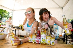 Checkpoint Jam, Volksgarten, Steusalz, One Move, Festival, Salzburg, 20150703, (c) wildbild