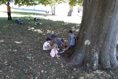 IMG-20220819-WA0029