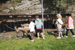 IMG-20230808-WA0024