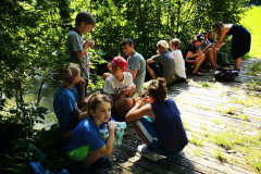 IMG_20200806_150325