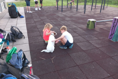 IMG-20220814-WA0037