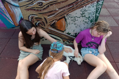 IMG-20230825-WA0036